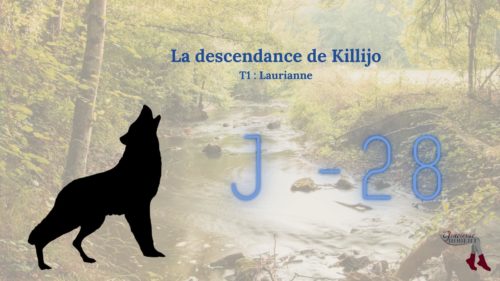 J-28